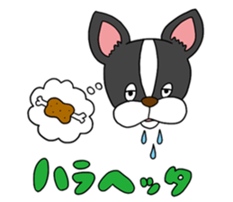 Boston terrier<Dog breed> sticker #15044338