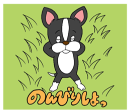 Boston terrier<Dog breed> sticker #15044344