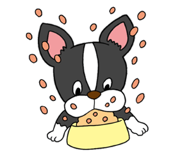 Boston terrier<Dog breed> sticker #15044345