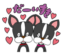 Boston terrier<Dog breed> sticker #15044348