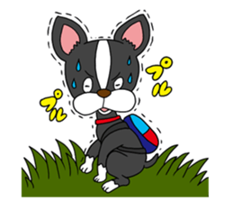Boston terrier<Dog breed> sticker #15044349