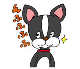Boston terrier<Dog breed> sticker #15044353