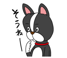 Boston terrier<Dog breed> sticker #15044354