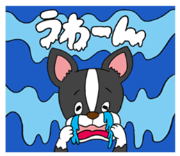 Boston terrier<Dog breed> sticker #15044355