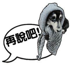 Black-haired Dachshund sticker #15044462