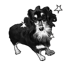 Black-haired Dachshund sticker #15044476