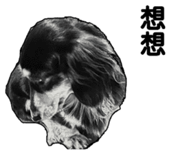 Black-haired Dachshund sticker #15044482