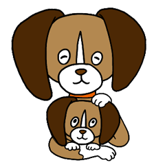 Beagle<Dog breed>