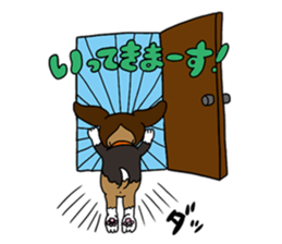 Beagle<Dog breed> sticker #15044567