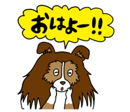 Shetland Sheepdog<Dog breed> sticker #15044836