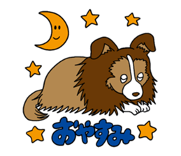 Shetland Sheepdog<Dog breed> sticker #15044837