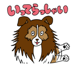 Shetland Sheepdog<Dog breed> sticker #15044838