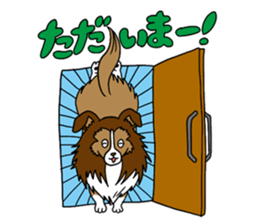 Shetland Sheepdog<Dog breed> sticker #15044839