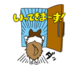 Shetland Sheepdog<Dog breed> sticker #15044841
