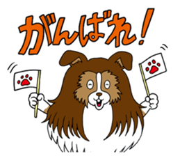 Shetland Sheepdog<Dog breed> sticker #15044842
