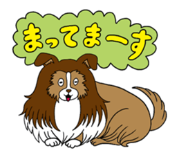 Shetland Sheepdog<Dog breed> sticker #15044843