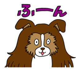 Shetland Sheepdog<Dog breed> sticker #15044844
