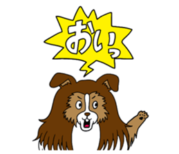 Shetland Sheepdog<Dog breed> sticker #15044845