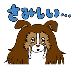 Shetland Sheepdog<Dog breed> sticker #15044847