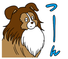 Shetland Sheepdog<Dog breed> sticker #15044848