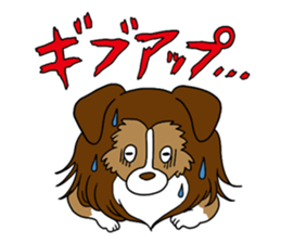 Shetland Sheepdog<Dog breed> sticker #15044854