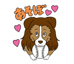 Shetland Sheepdog<Dog breed> sticker #15044857