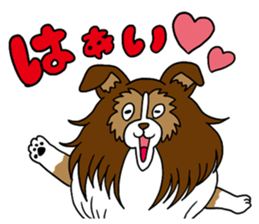 Shetland Sheepdog<Dog breed> sticker #15044858
