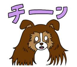 Shetland Sheepdog<Dog breed> sticker #15044859