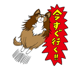 Shetland Sheepdog<Dog breed> sticker #15044862