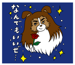 Shetland Sheepdog<Dog breed> sticker #15044863