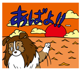 Shetland Sheepdog<Dog breed> sticker #15044864