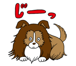 Shetland Sheepdog<Dog breed> sticker #15044867