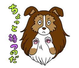 Shetland Sheepdog<Dog breed> sticker #15044870