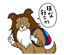 Shetland Sheepdog<Dog breed> sticker #15044871