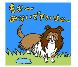 Shetland Sheepdog<Dog breed> sticker #15044872