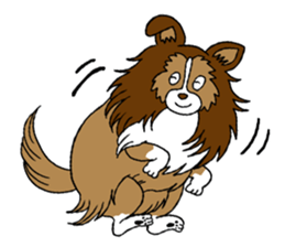 Shetland Sheepdog<Dog breed> sticker #15044873