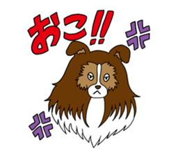 Shetland Sheepdog<Dog breed> sticker #15044874