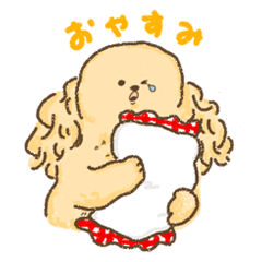 American Cocker Spaniel<Dog breed>