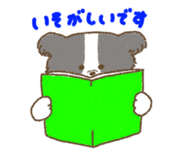 Border Collie<Dog breed> sticker #15045608