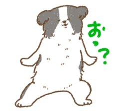 Border Collie<Dog breed> sticker #15045626