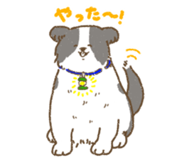 Border Collie<Dog breed> sticker #15045631