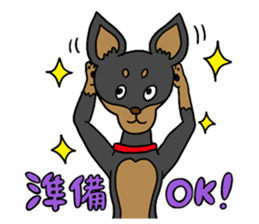 Miniature Pinscher<Dog breed> sticker #15045644