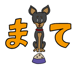 Miniature Pinscher<Dog breed> sticker #15045654