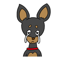 Miniature Pinscher<Dog breed> sticker #15045665