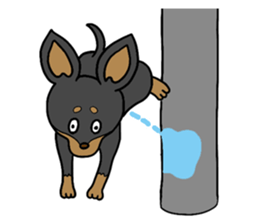 Miniature Pinscher<Dog breed> sticker #15045680