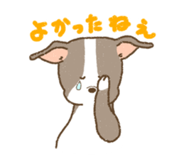 Italian Greyhound<Dog breed> sticker #15045684