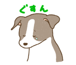 Italian Greyhound<Dog breed> sticker #15045694