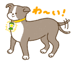 Italian Greyhound<Dog breed> sticker #15045695