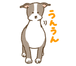 Italian Greyhound<Dog breed> sticker #15045700