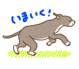 Italian Greyhound<Dog breed> sticker #15045701